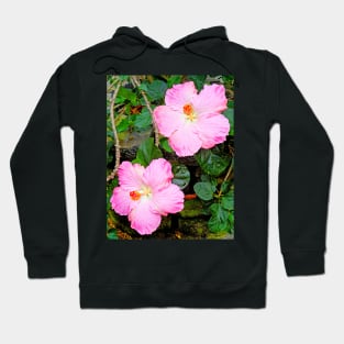 Tropical Garden Study 3 Hoodie